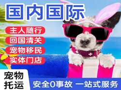 博鳌机场空运国际宠物托运 【国